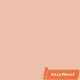 Siser Easyweed - Pale Peach - 12